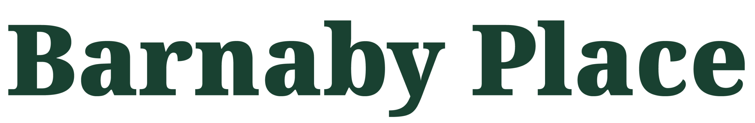 barnabyplaceconsultation.co.uk